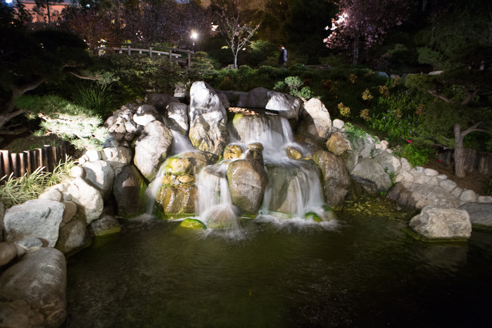 Japanese Friendship Garden Wedding San Diego