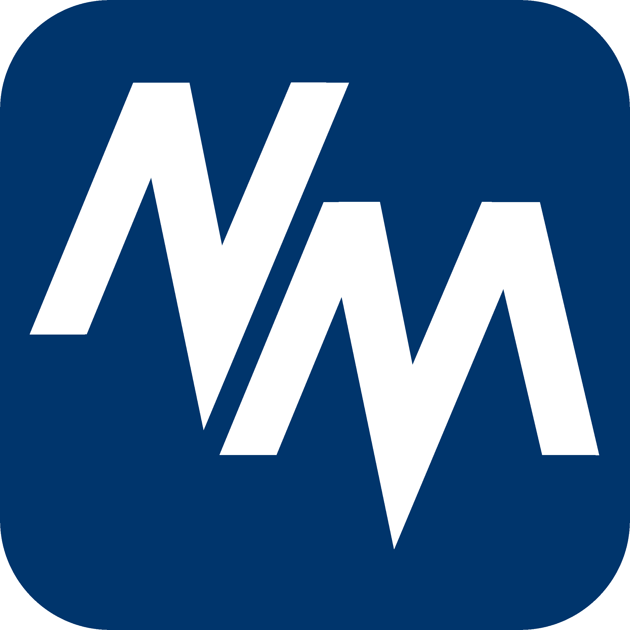 Ninyo Moore Square Logo Outlines